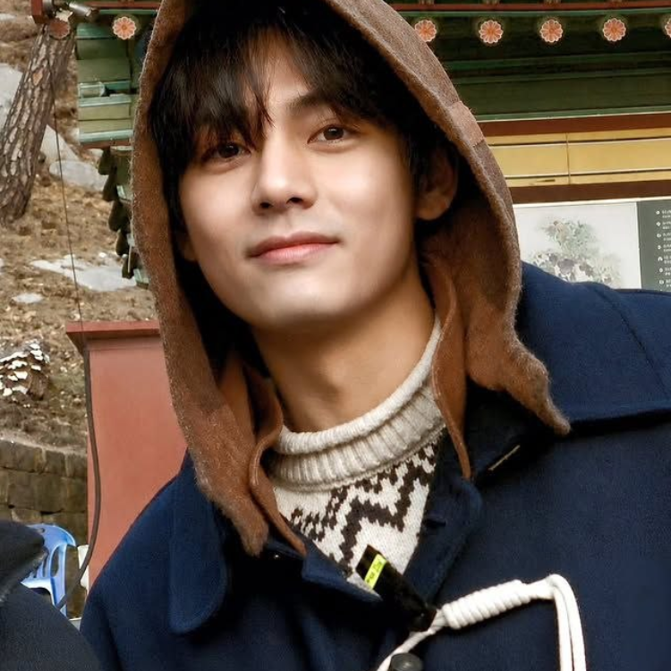 뷔 (방탄소년단) 팬이 찍은 순간