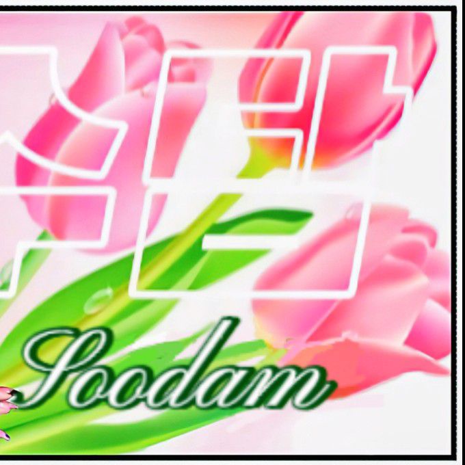 スダム (SECRET NUMBER)の最近の活動写真