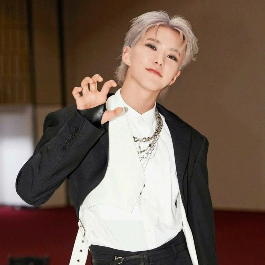 Recent activity shot of Hoshi (SEVENTEEN)