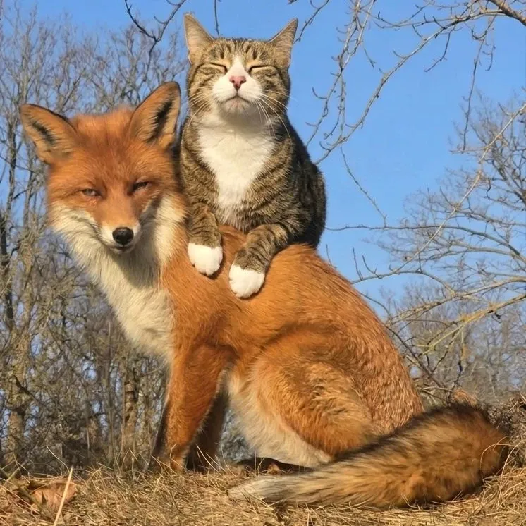 Potret di balik layar Stray Kids