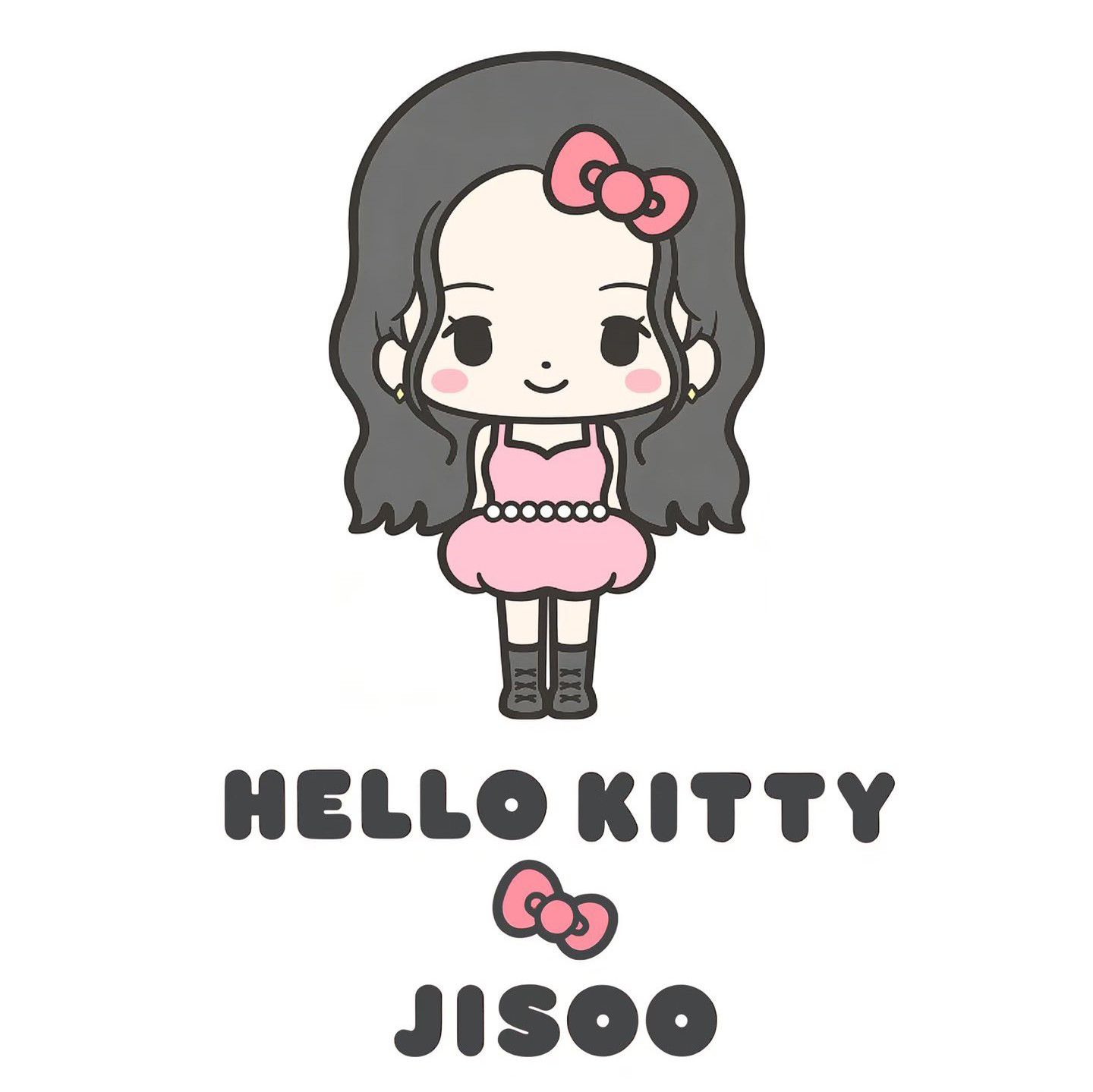 BLACKPINK 팬이 찍은 순간