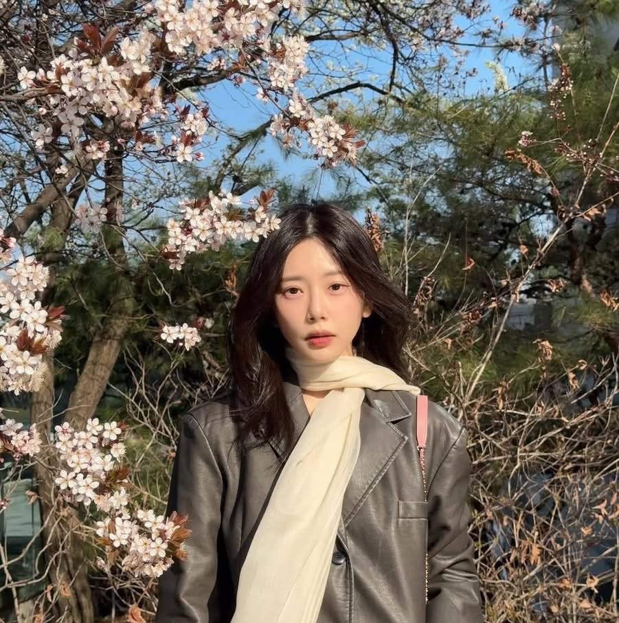 드림캐쳐의 최신 사진