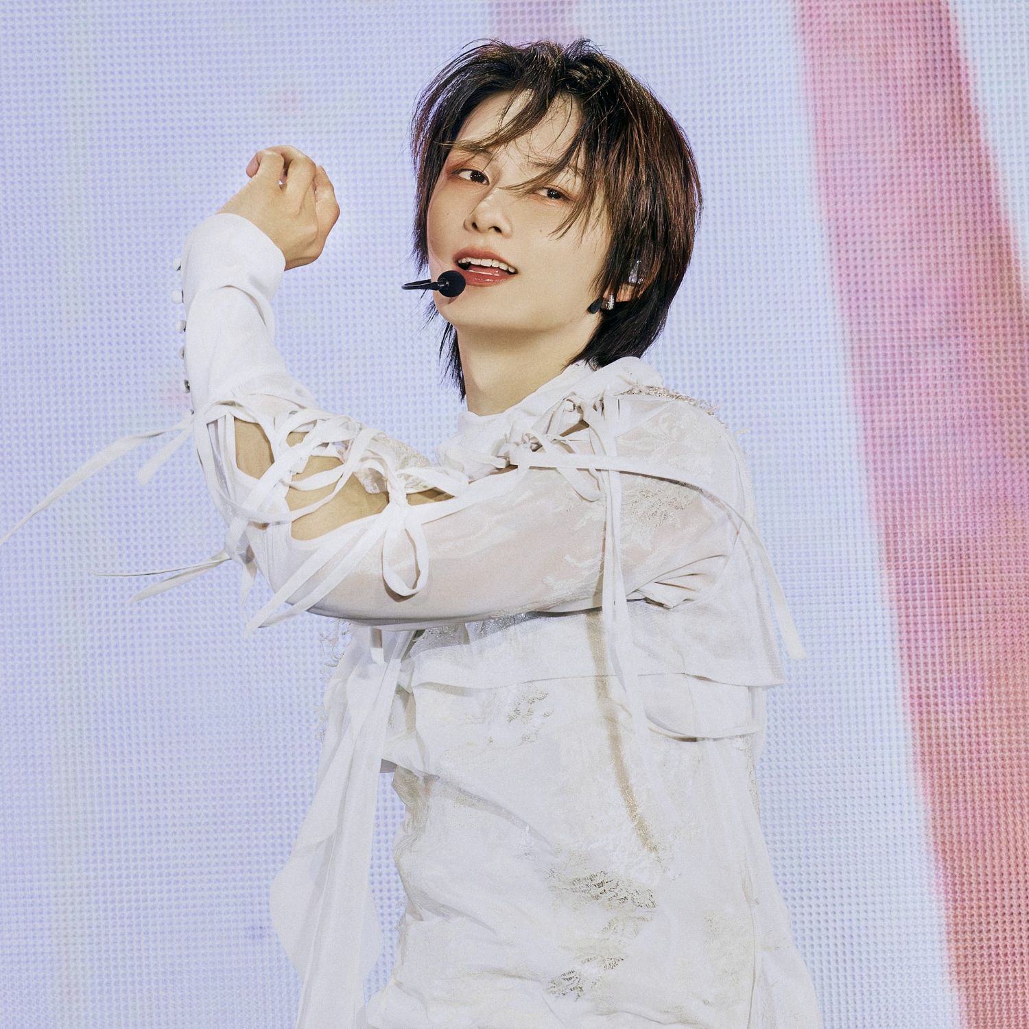 세븐틴 팬이 찍은 순간