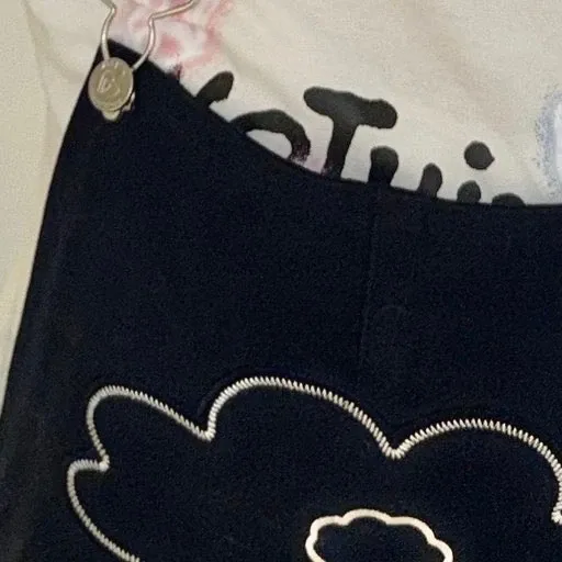 A moment captured by Haewon (NMIXX)'s fan