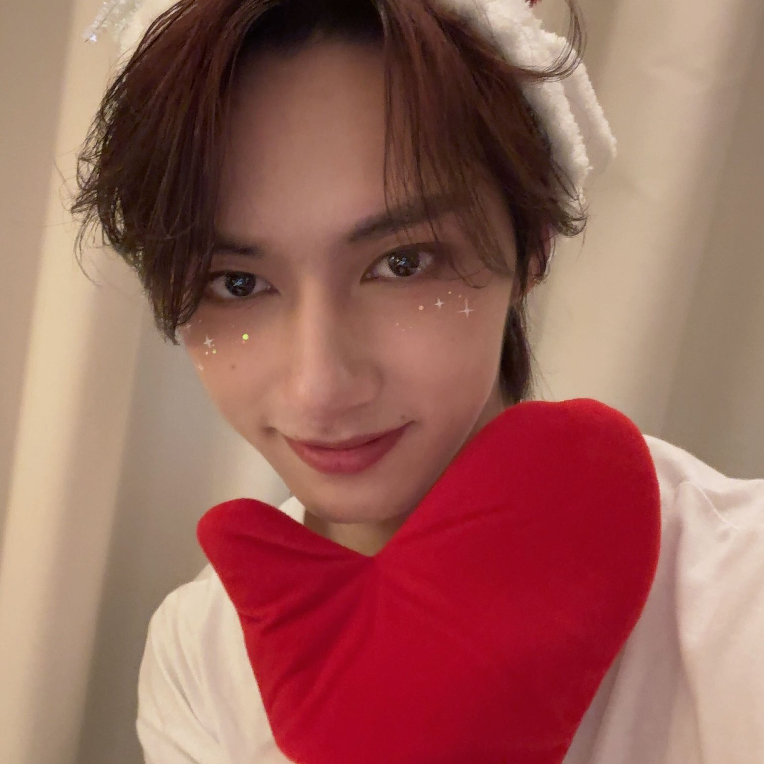 세븐틴 팬이 찍은 순간