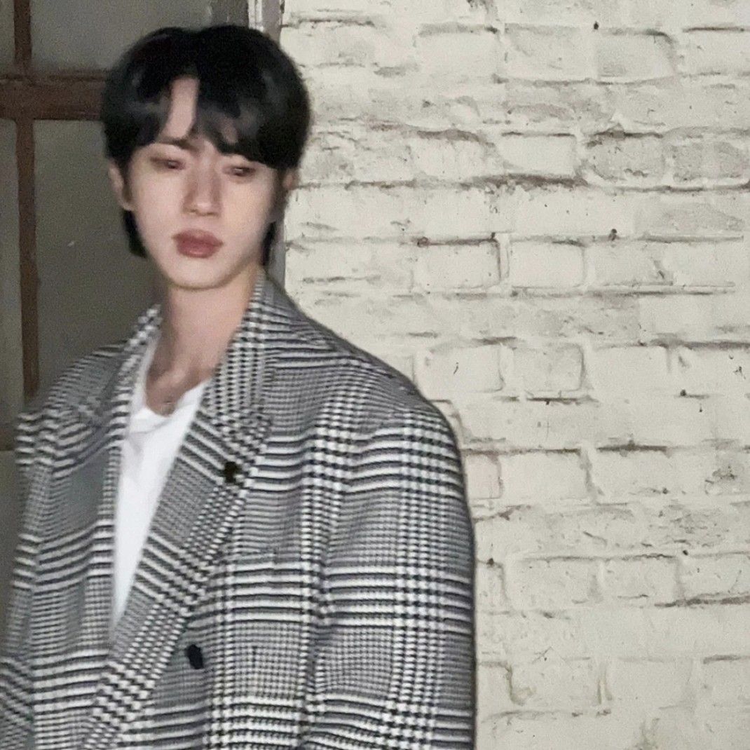 진 (방탄소년단) 팬이 찍은 순간