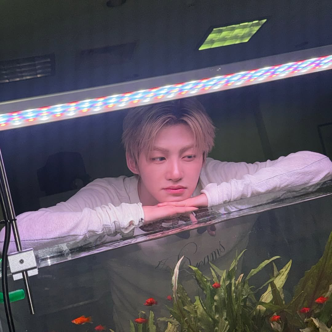 Behind-the-scenes cut of Jihoon (TWS)