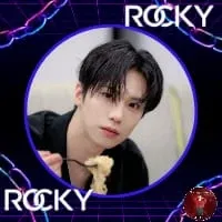 Recent activity shot of Rocky