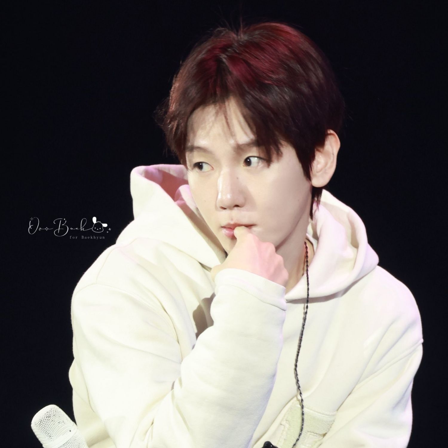 伯賢 (EXO)的幕後花絮