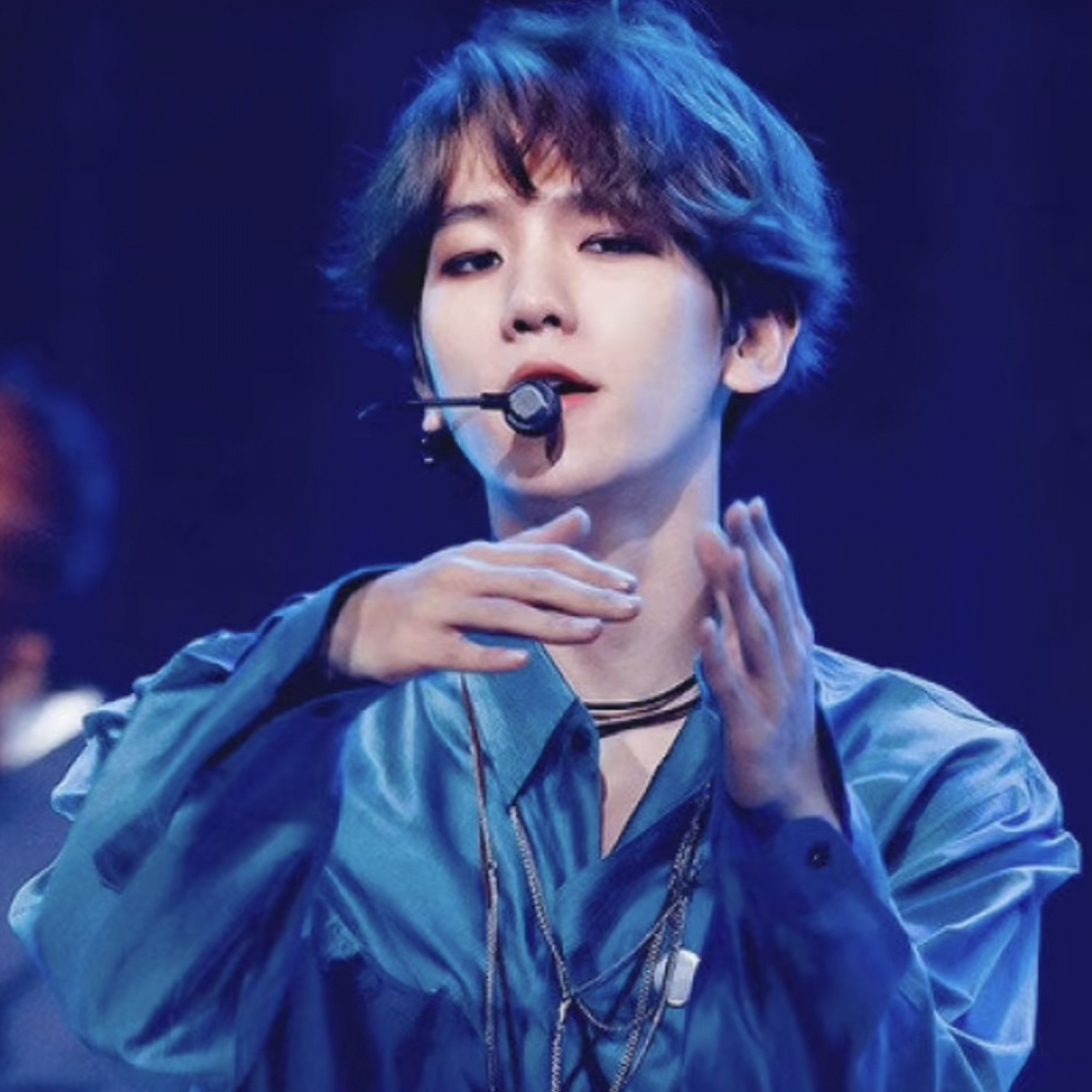 伯賢 (EXO)粉絲拍下的瞬間