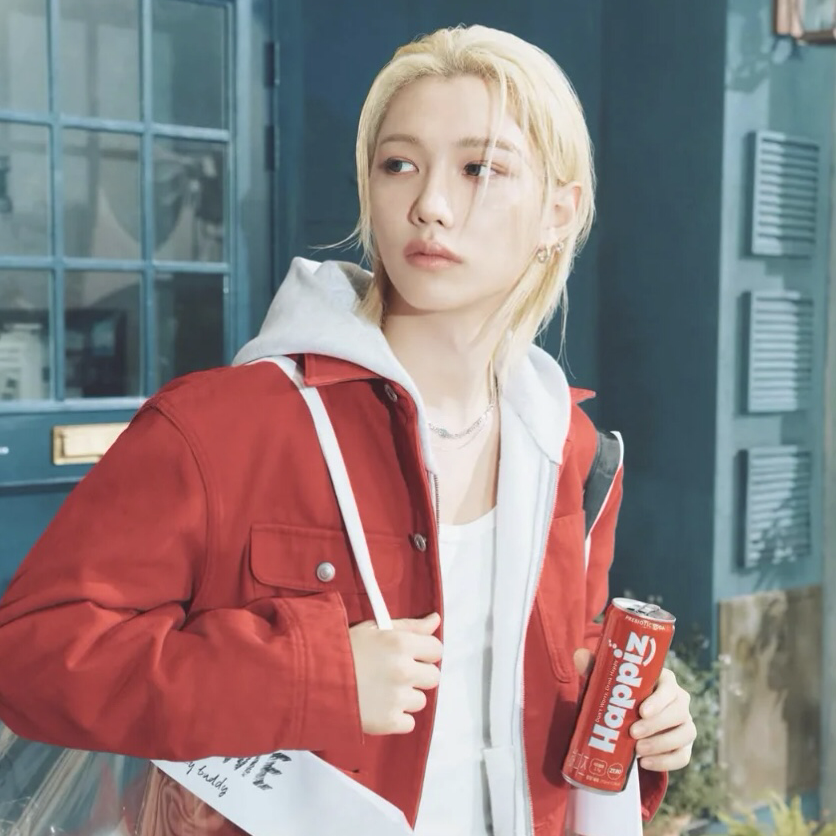 Stray Kids 팬이 찍은 순간