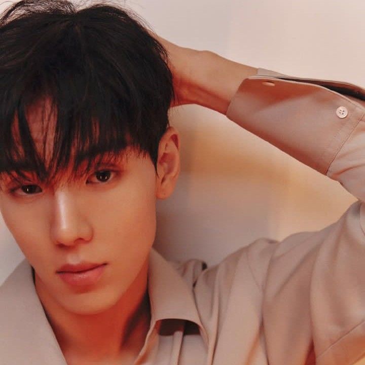 셔누 (몬스타엑스) 팬이 찍은 순간