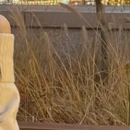 A moment captured by Kim Garam's fan