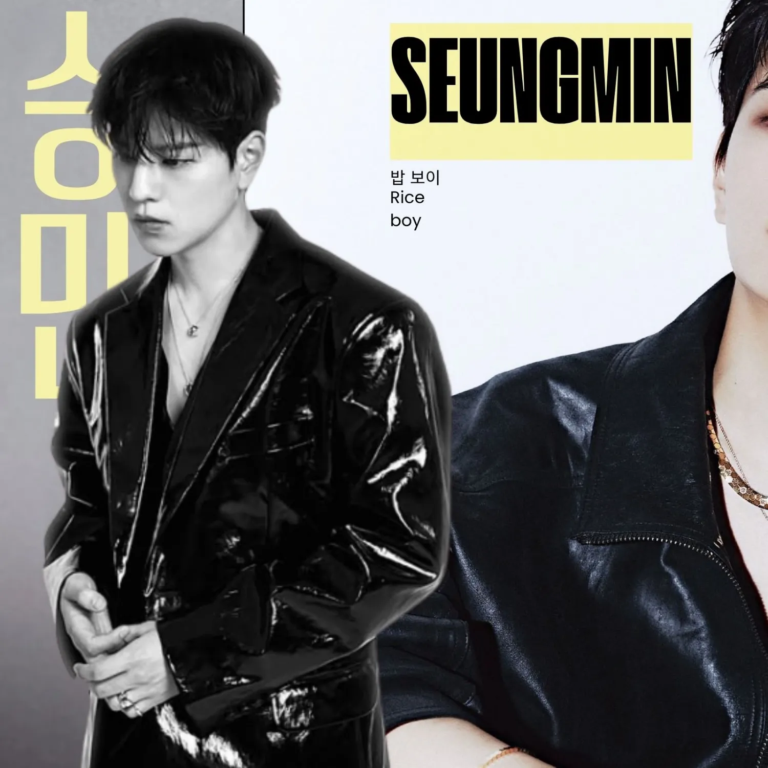 Recent activity shot of Seungmin (Stray Kids)