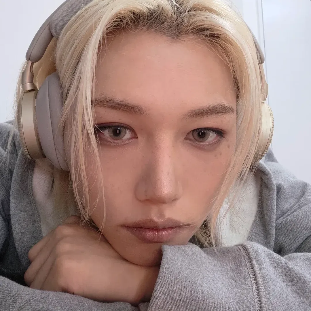 Stray Kids 팬이 찍은 순간