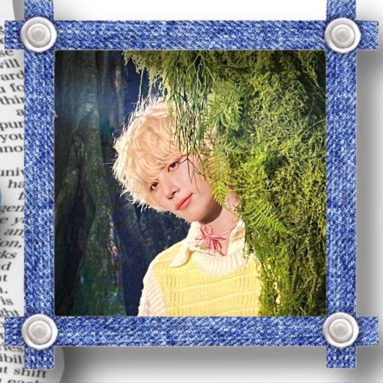 K-POP posts beloved by 정한 (세븐틴) fans