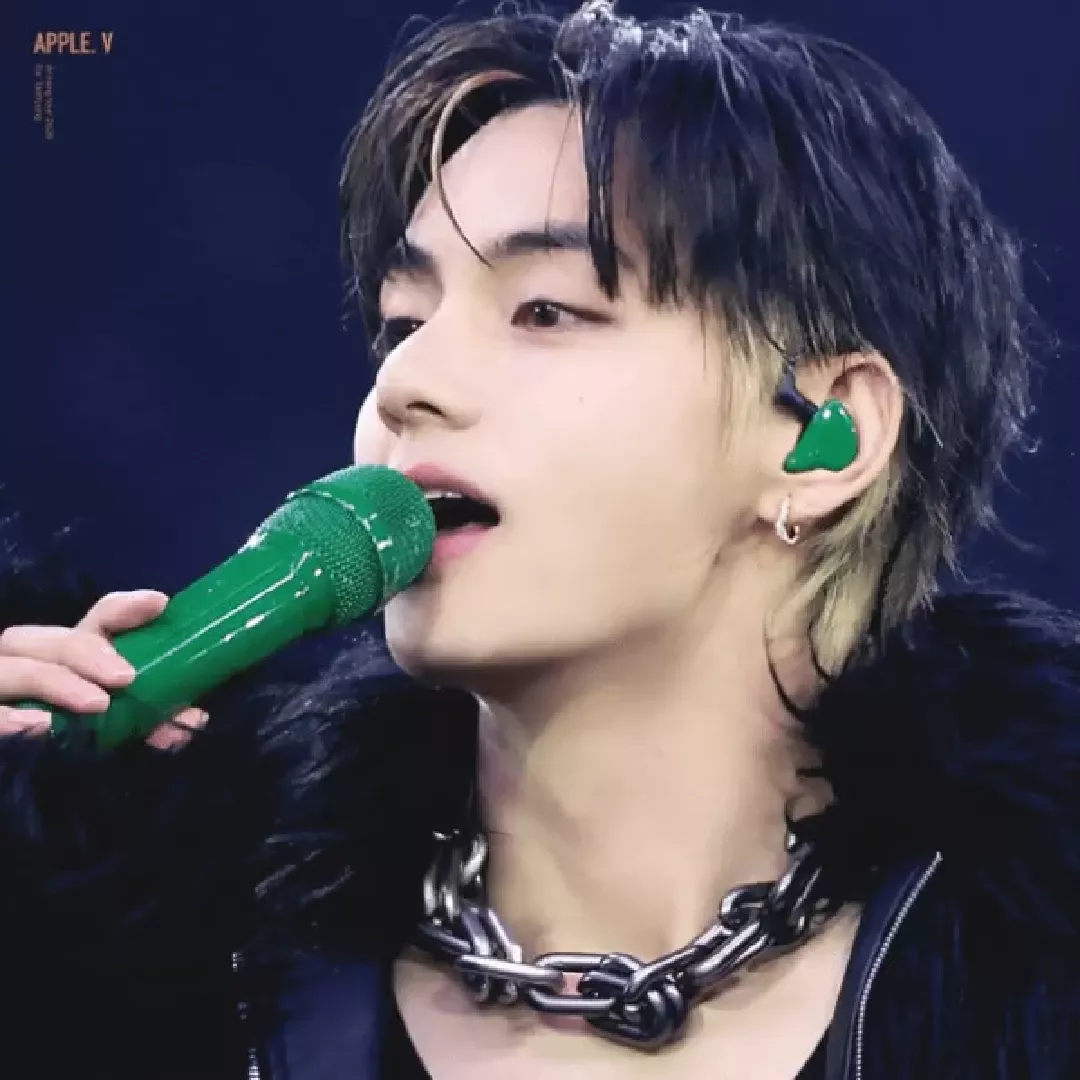 뷔 (방탄소년단) 팬이 찍은 순간