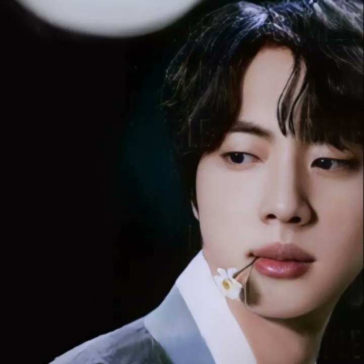 A moment captured by Jin (BTS)'s fan