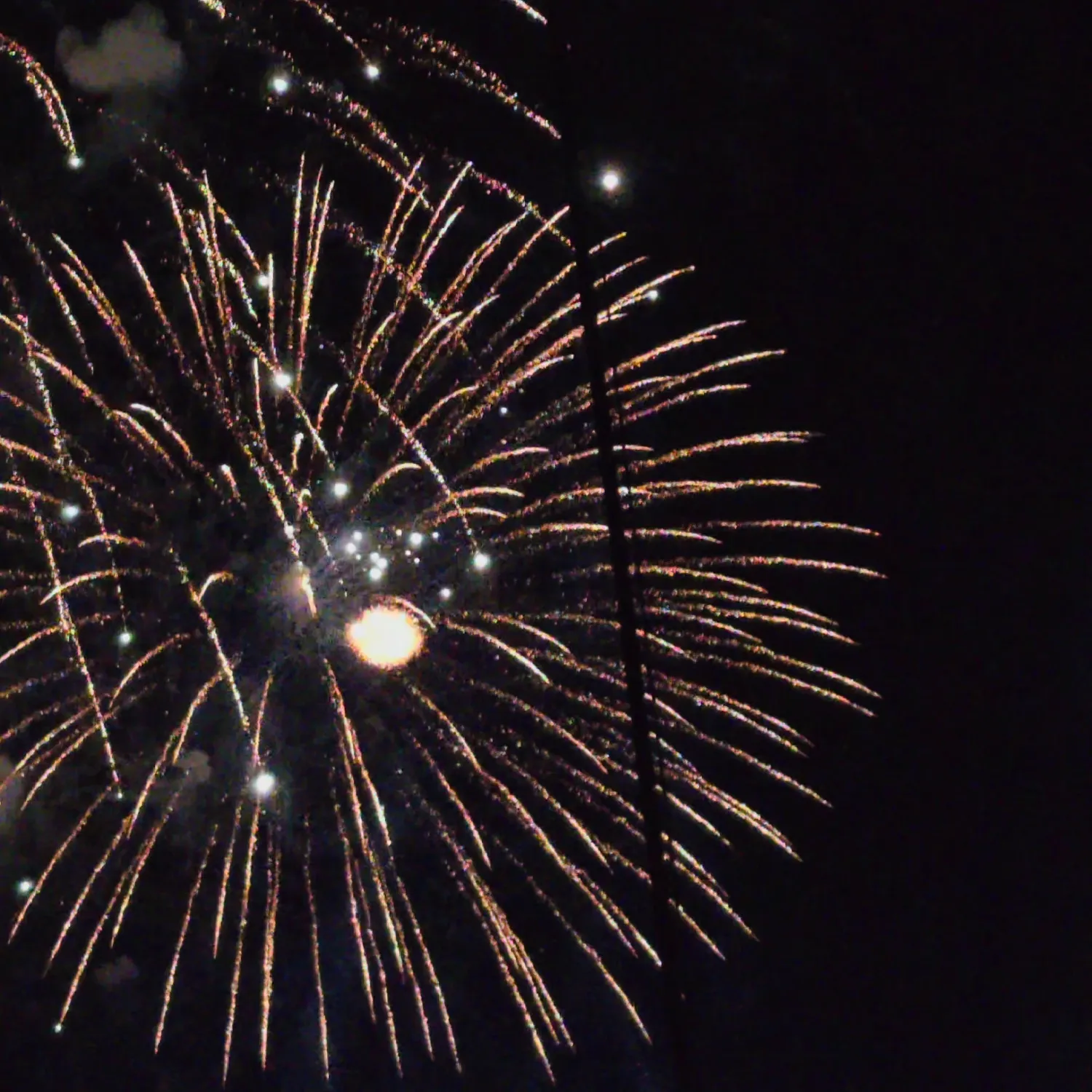 Foto terbaru SEVENTEEN