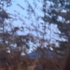 A moment captured by Kim Garam's fan