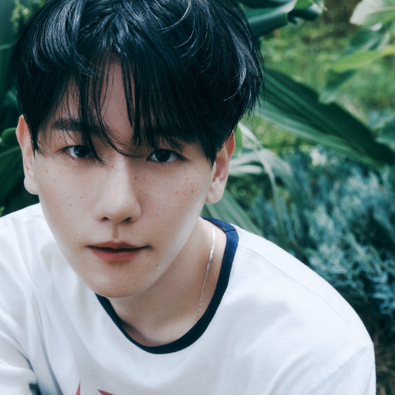 백현 (EXO) 팬이 찍은 순간