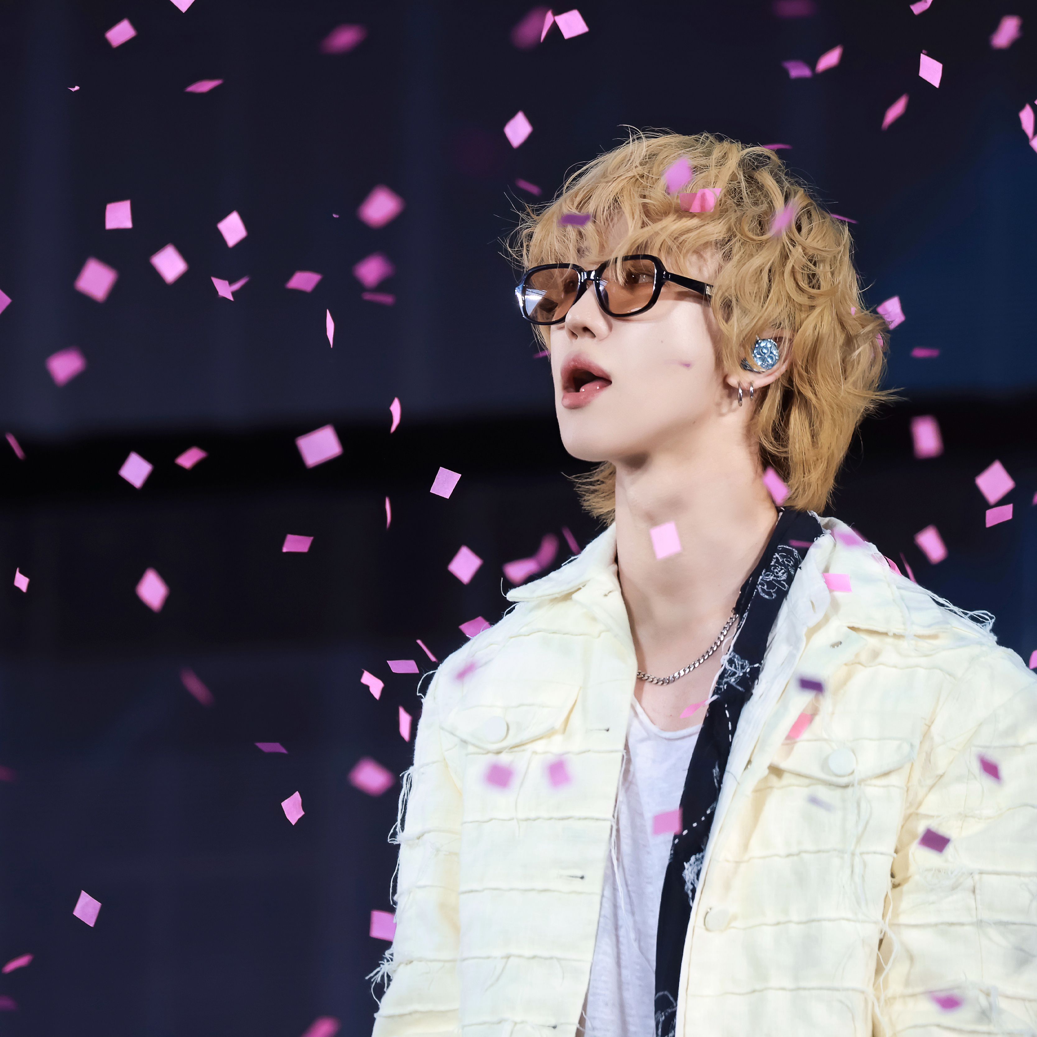 디에잇 (세븐틴) 팬이 찍은 순간