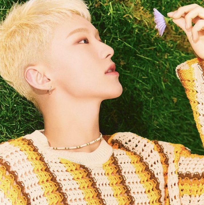 Recent activity shot of Hoshi (SEVENTEEN)