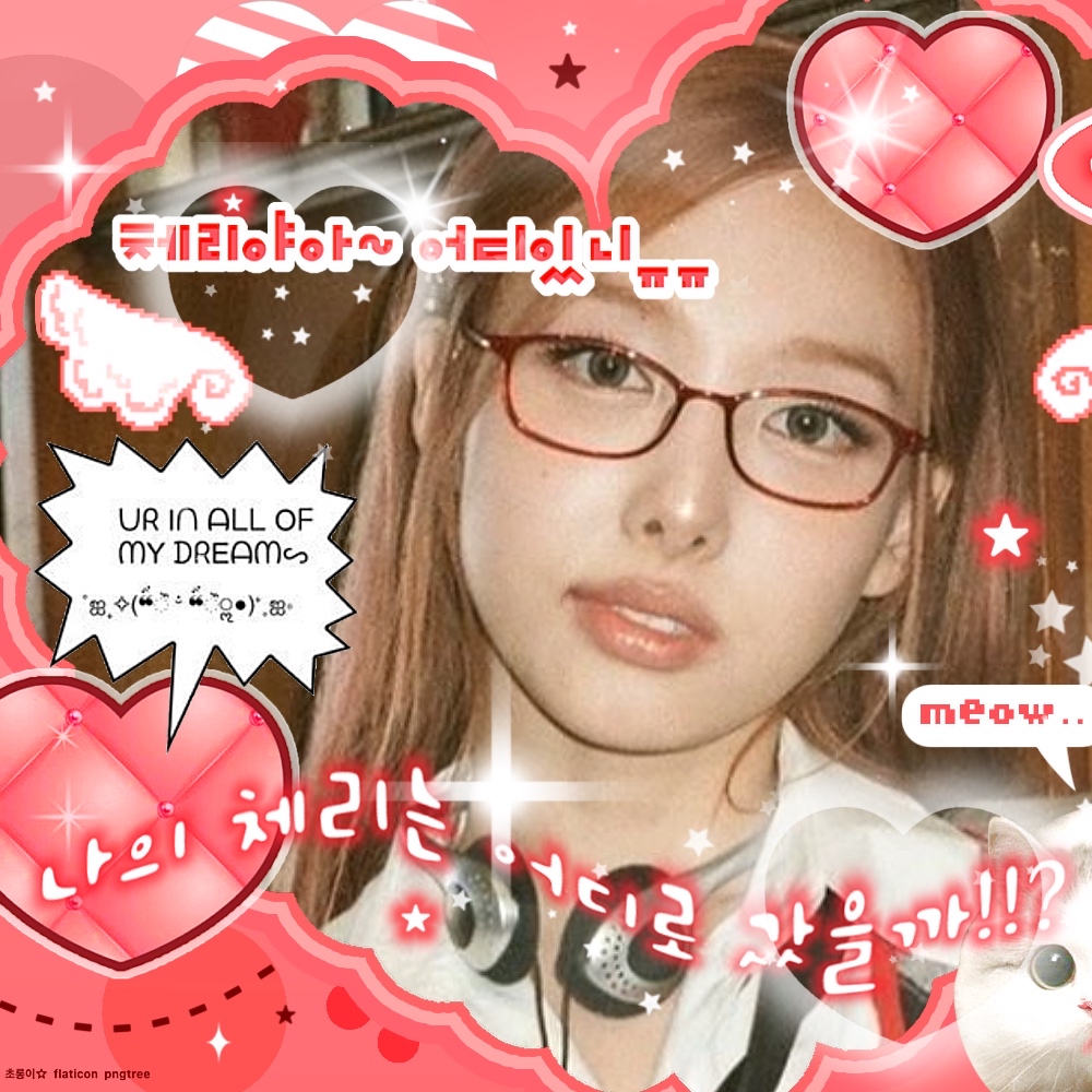 나연 (TWICE) 팬이 찍은 순간