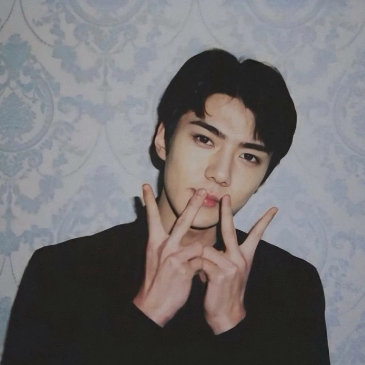 세훈 (EXO) 팬이 찍은 순간