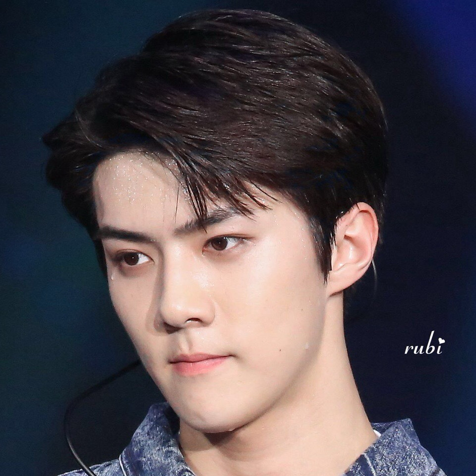 世勳 (EXO)的幕後花絮