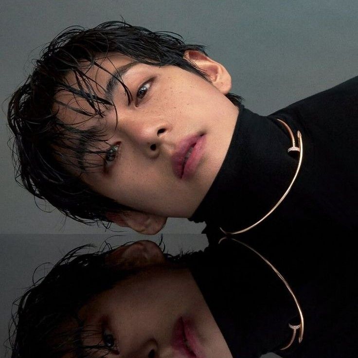 V (BTS)ファンが撮った瞬間