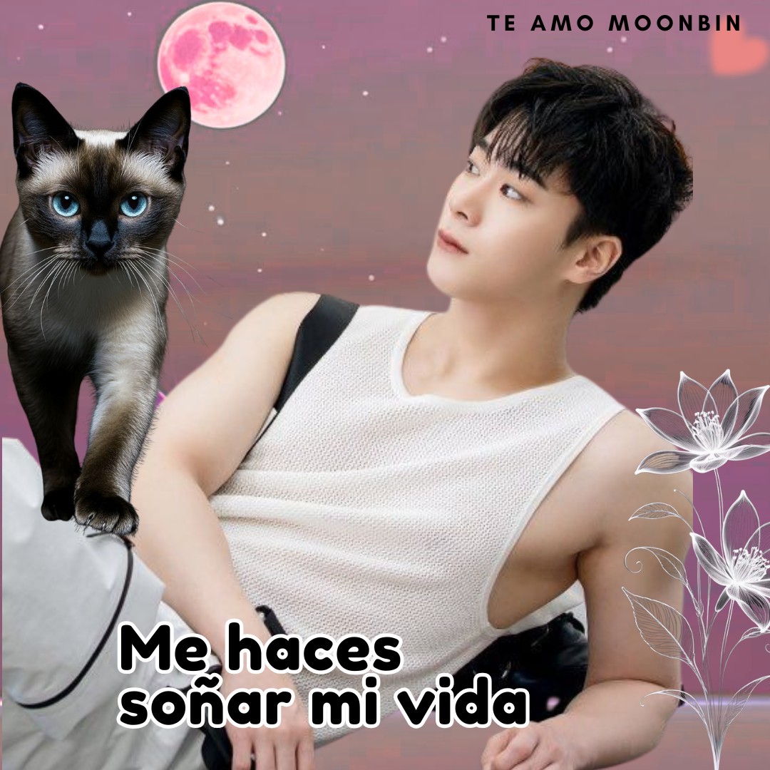 Latest photo of Moonbin (ASTRO)