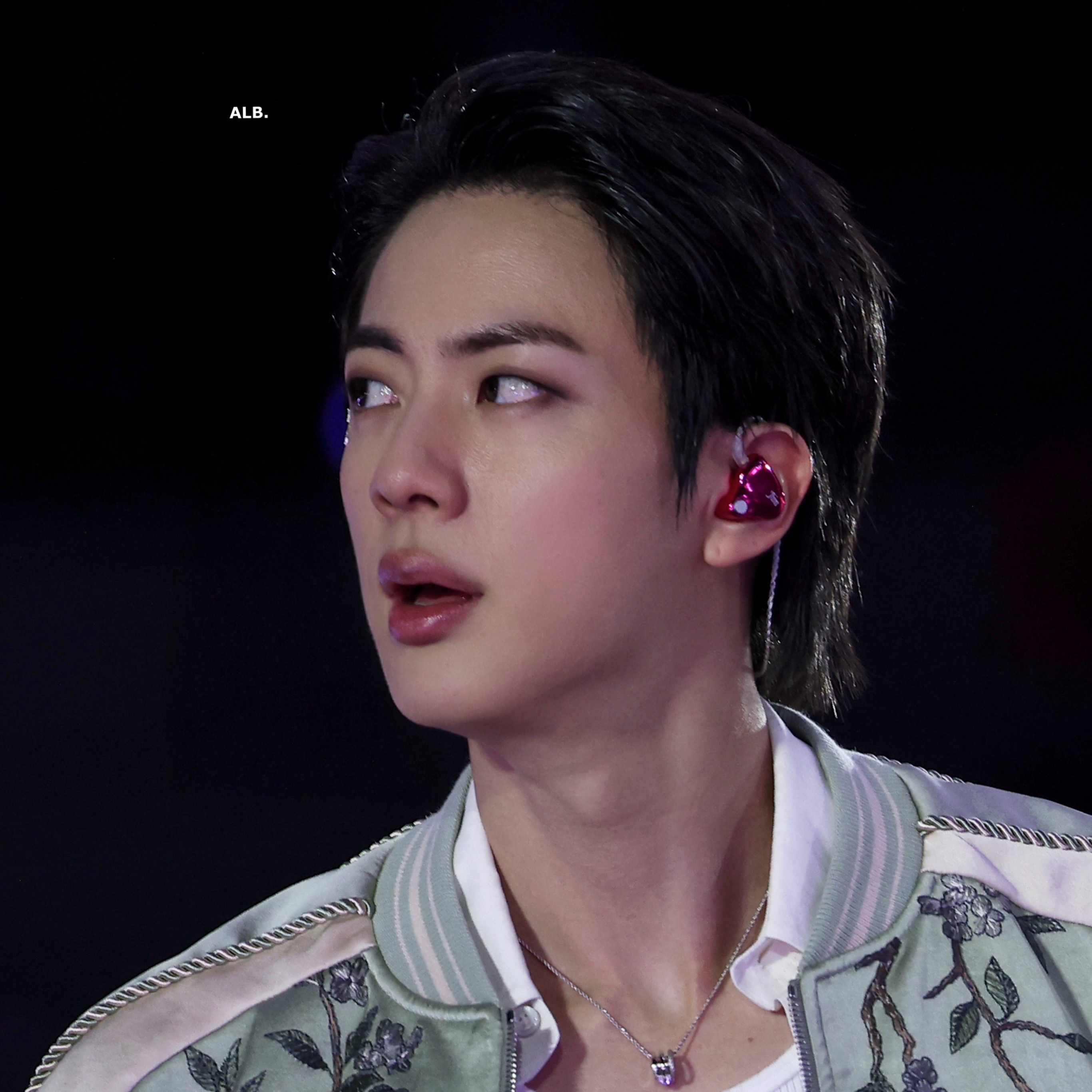 Momen yang diabadikan oleh penggemar Jin (BTS)