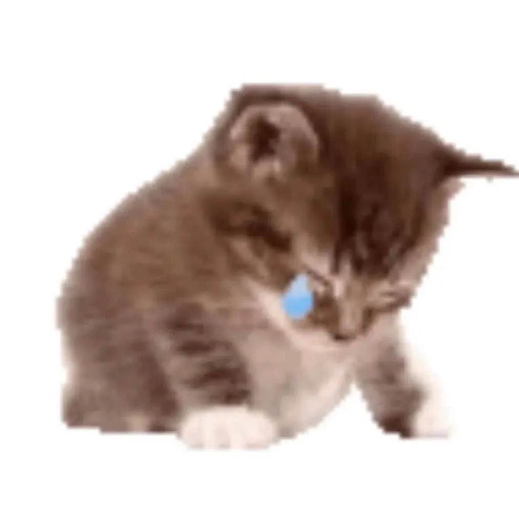 Latest photo of TOMORROW X TOGETHER