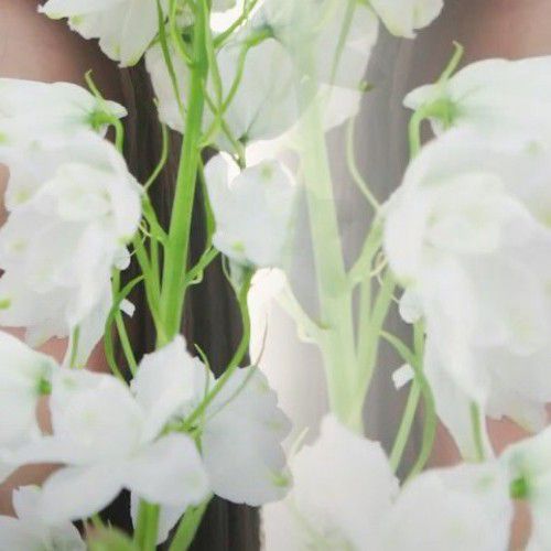 쯔위 (TWICE) 팬이 찍은 순간