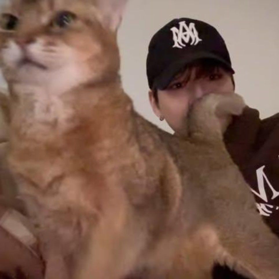 강다니엘 팬이 찍은 순간