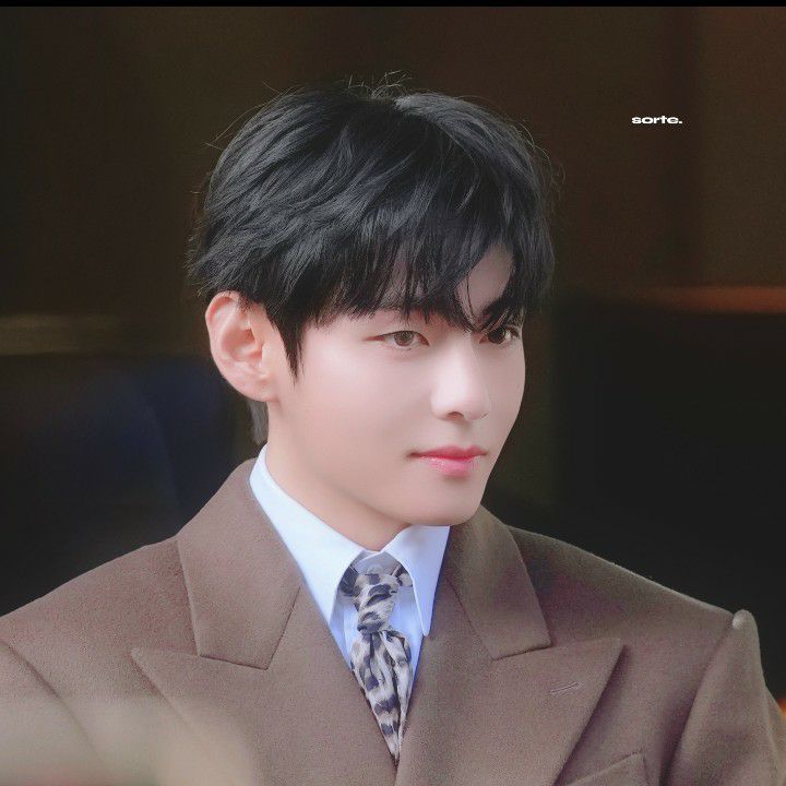 V (BTS)の舞台裏ショット