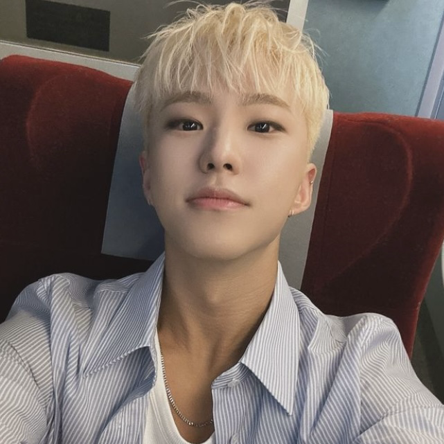 Recent activity shot of Hoshi (SEVENTEEN)