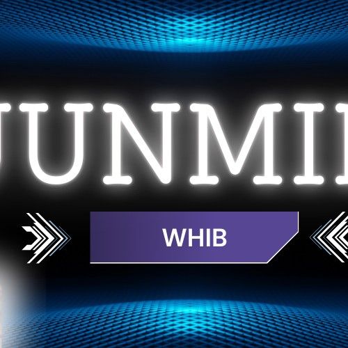 A moment captured by Kim Junmin (WHIB)'s fan