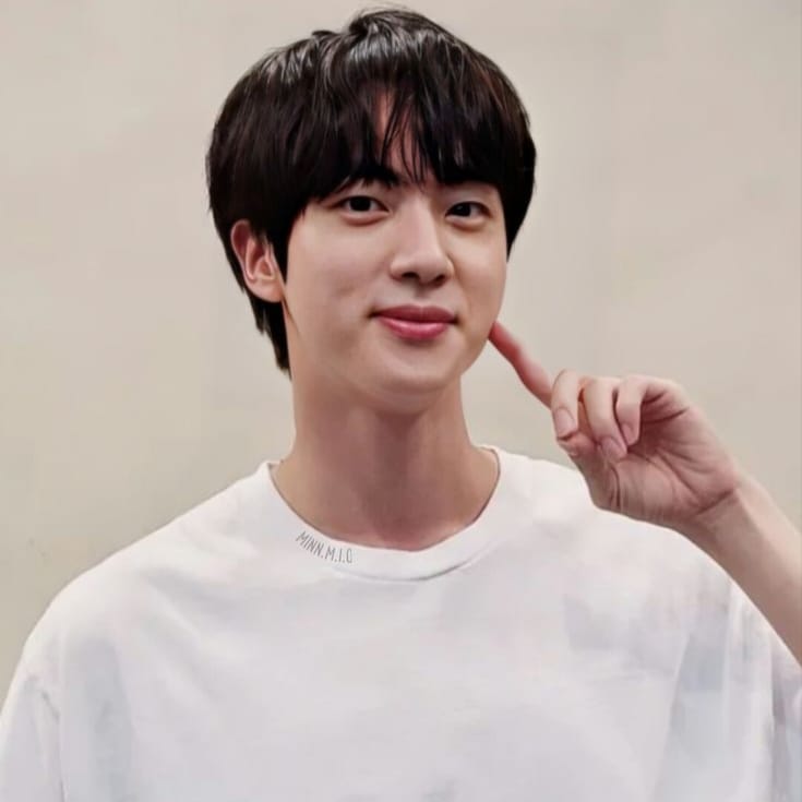 A moment captured by Jin (BTS)'s fan