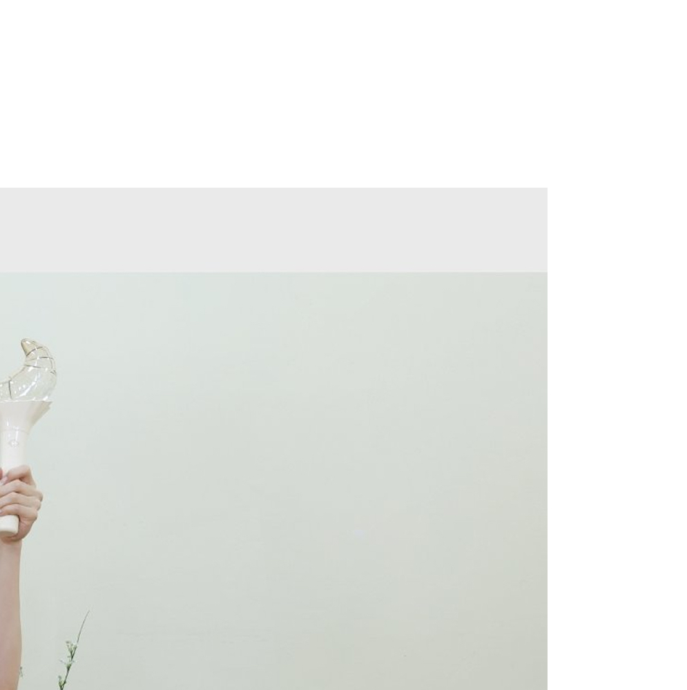 Recent activity shot of Loossemble