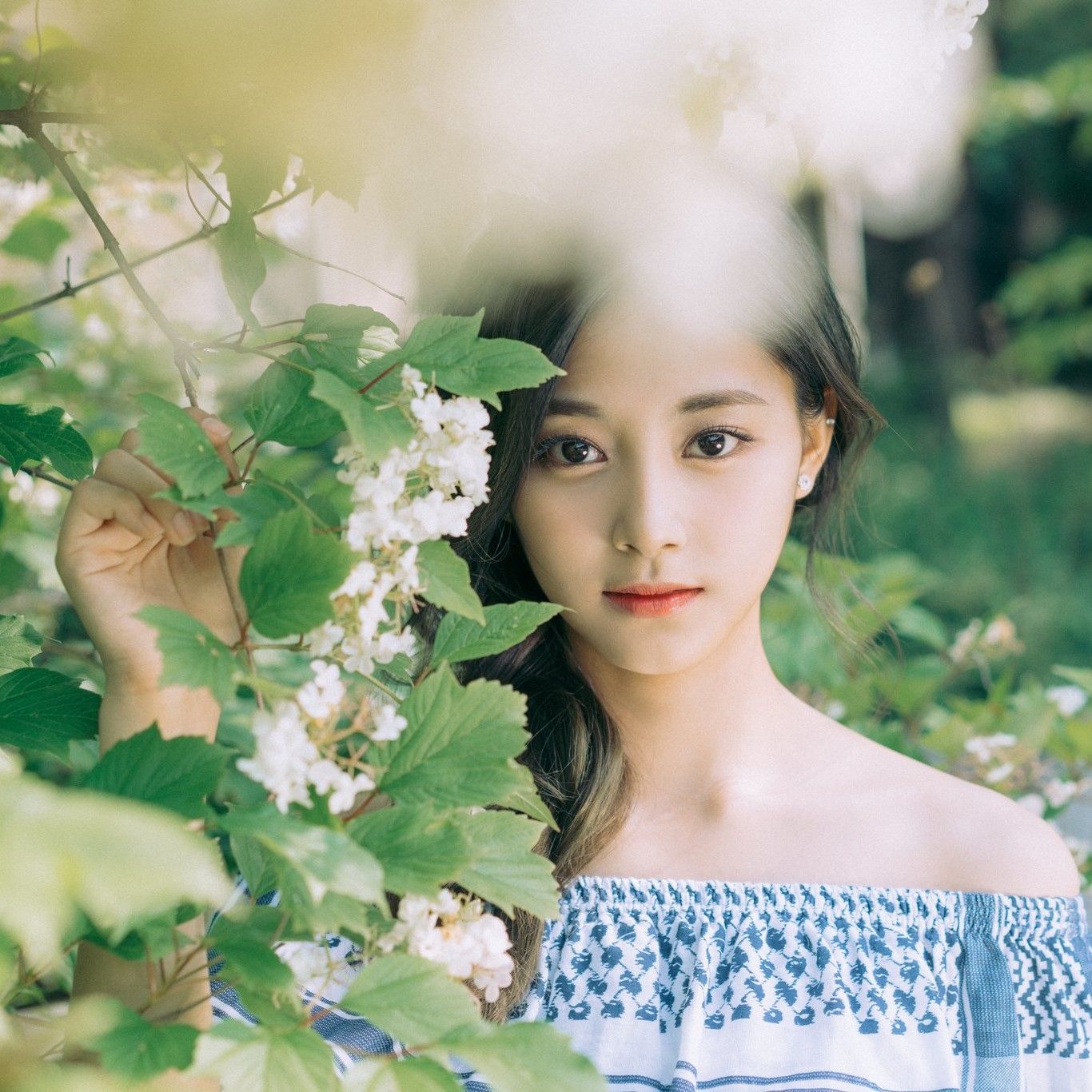 ツウィ (TWICE)ファンが撮った瞬間