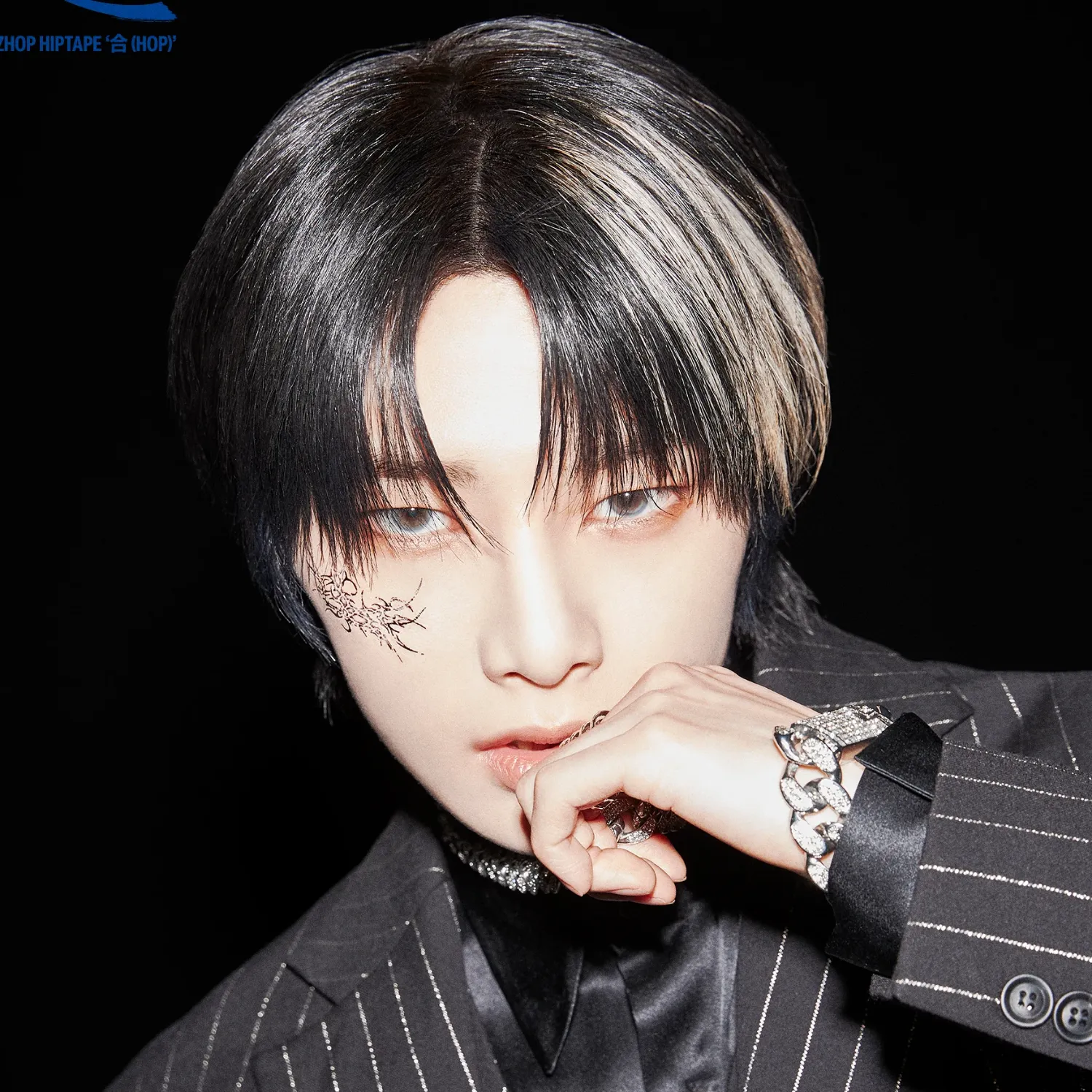 Stray Kids 최근 활동샷