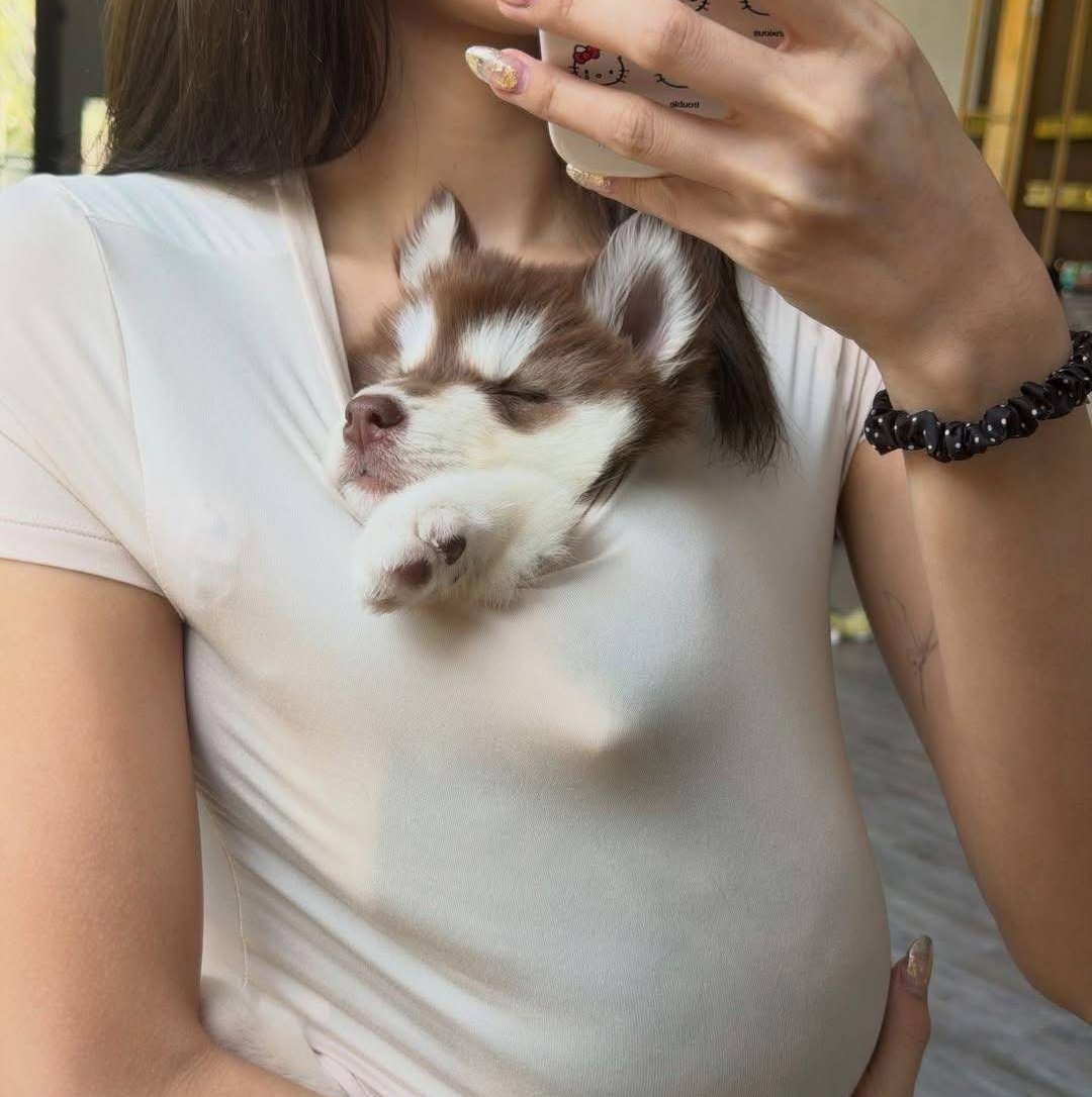 리사 (BLACKPINK)의 최신 사진