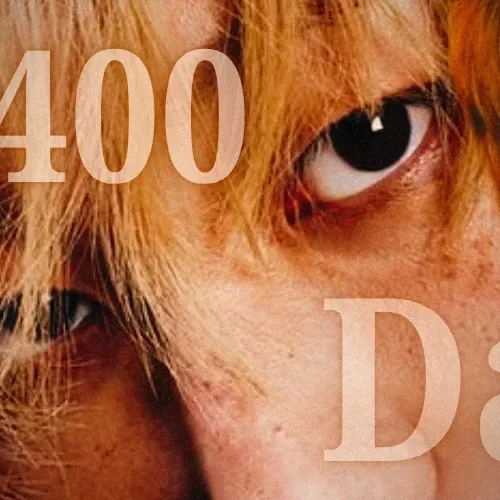 세븐틴 팬이 찍은 순간