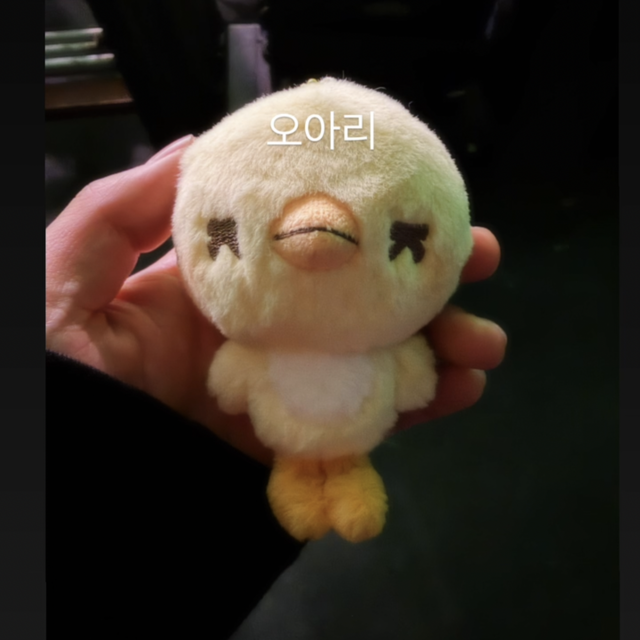 世勳 (EXO)的最新照片