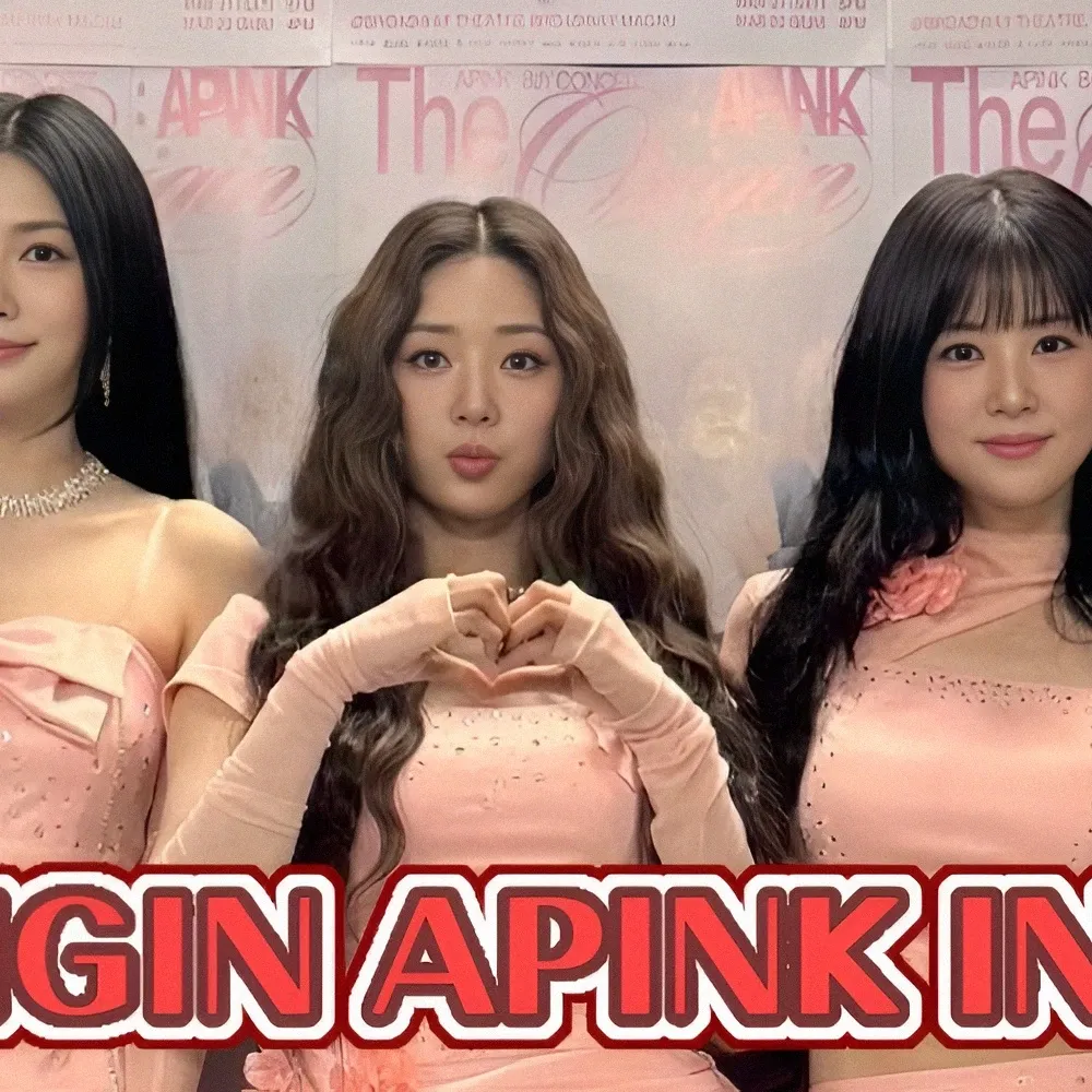 에이핑크 팬이 찍은 순간