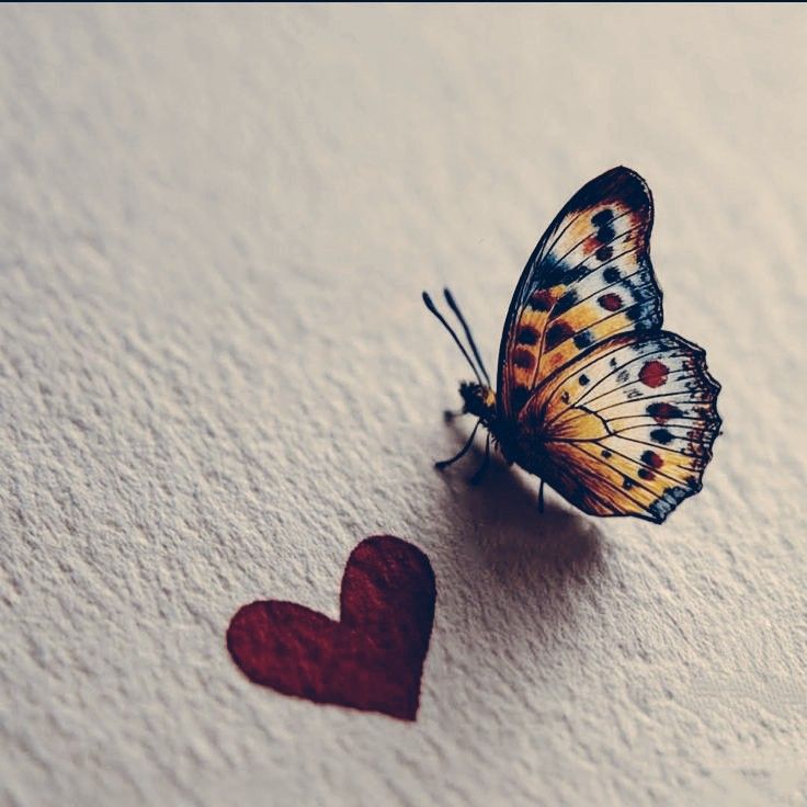 TWICE 팬이 찍은 순간