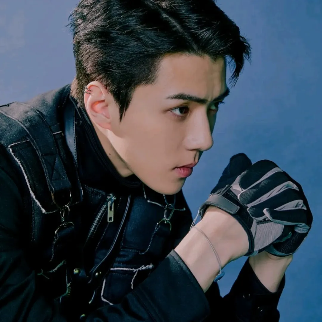 EXOファンが撮った瞬間