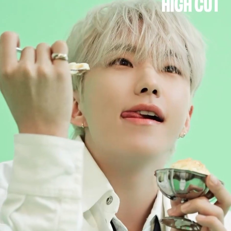 Hoshi (SEVENTEEN)粉丝拍下的瞬间